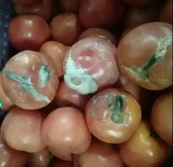 美洁尔商用洗碗机