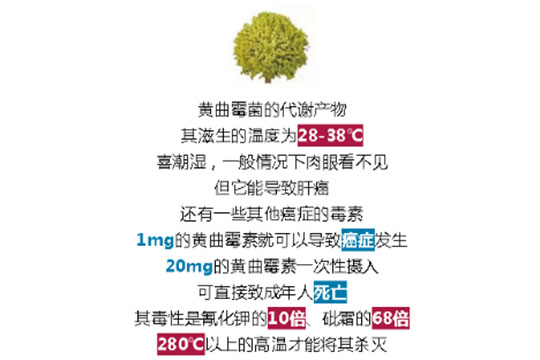 全自动洗碗机洗消烘干一体机